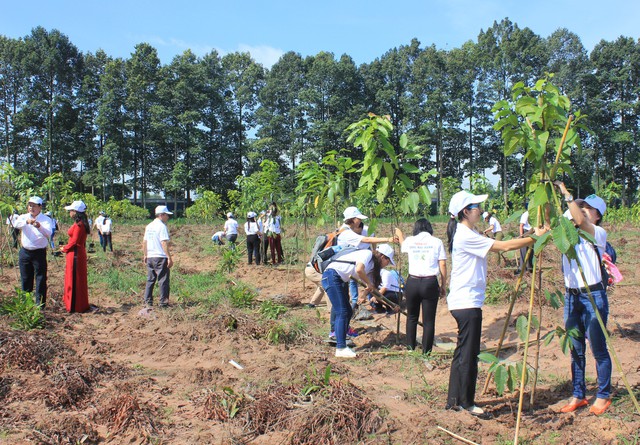 Hoạt động trồng cây xanh trong khuôn khổ chương trình