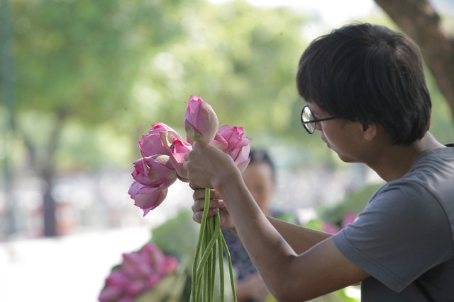 
Mỗi bó hoa sen được bán với giá 80.000 đồng.
