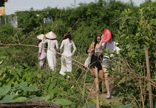 
Nhiều khách nước ngoài cũng rất hứng thú với vẻ đẹp đầm sen Việt Nam.
