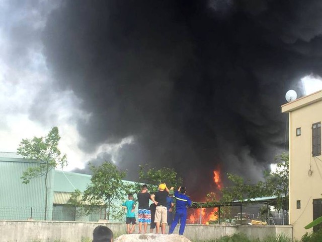 
Ngọn lửa bất ngờ bùng phát tại Công ty Cổ phần nhựa thông Quảng Ninh
