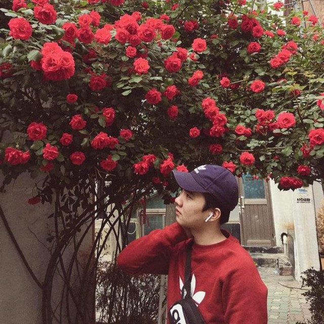Cổng hoa hồng rực rỡ hơn sau 1 năm khi chàng trai Sơn Nguyễn quay lại thăm khu nhà cũ.