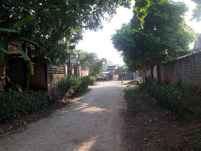 Con ngõ nơi chị M. đang ở