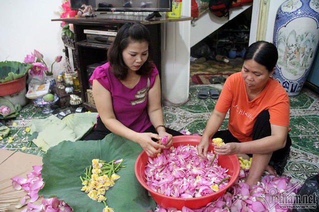 Trà sẽ được ướp với những cánh hoa sen nhỏ trong 2 ngày, sau đó sấy khô rồi mới được ướp với gạo sen