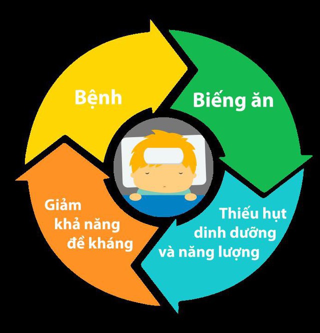 Vòng luẩn quẩn của sự mất cân bằng dinh dưỡng