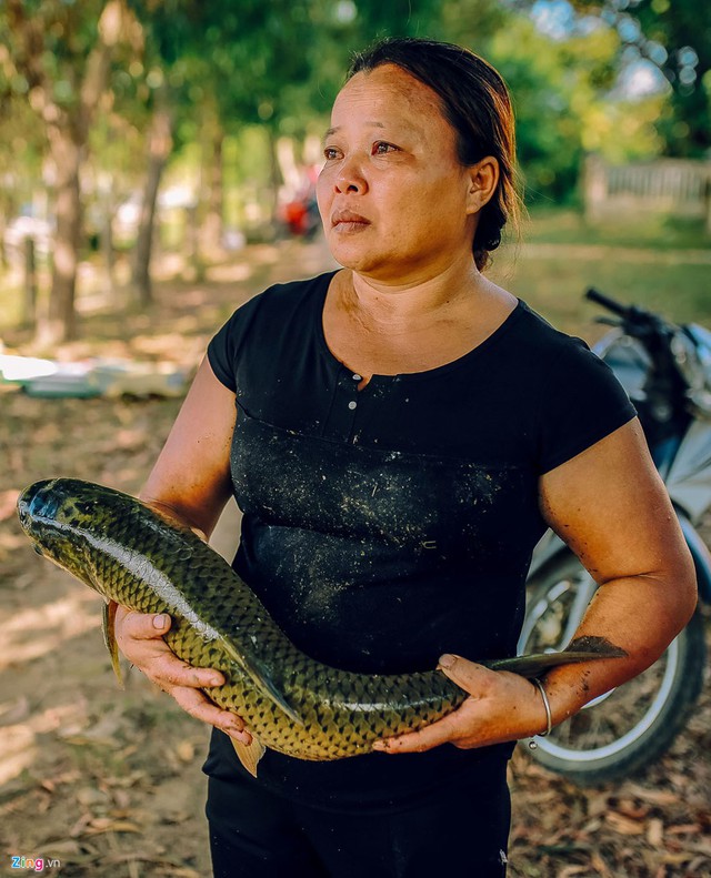 Nước mắt của chị Nguyễn Thị Ty khi ôm con cá đã chết trên tay. Đợt này thiệt hại của gia đình chị lên đến trăm triệu đồng, cả gia đình mất ngủ.