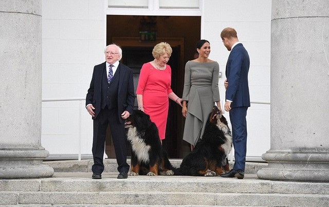 Meghan trông phấn khích khi được giới thiệu với hai chú chó cưng Brod và Shadow của vợ chồng tổng thống Ireland.