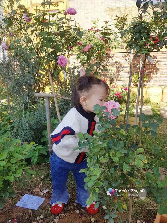 Con gái Berry của anh rất yêu thích khu vườn và hay ra vườn khám phá.