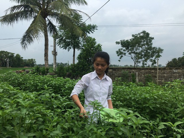 Thương luôn giúp đỡ mẹ những công việc trong gia đình