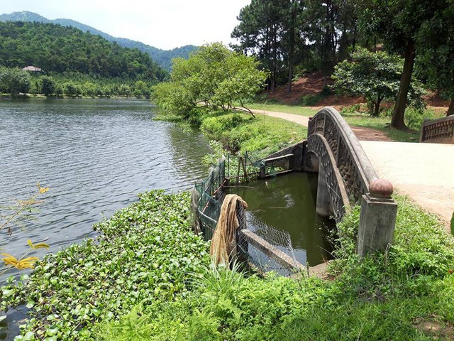 
Vị trí nơi phát hiện thi thể đôi nam nữ dưới hồ câu tại Sóc Sơn, Hà Nội. Ảnh: H.Chi
