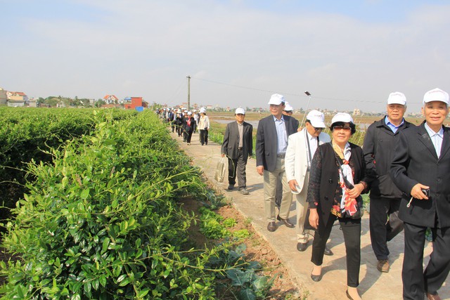Bác Phú (áo trắng) trên đường thăm vùng trồng Dây thìa canh chuẩn hóa của công ty Nam Dược