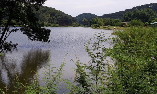 
Hồ nước tại thôn Thanh Hà, xã Nam Sơn, Sóc Sơn, Hà Nội, nơi phát hiện thi thể đôi nam nữ vào sáng ngày 15/7. Ảnh: H.C
