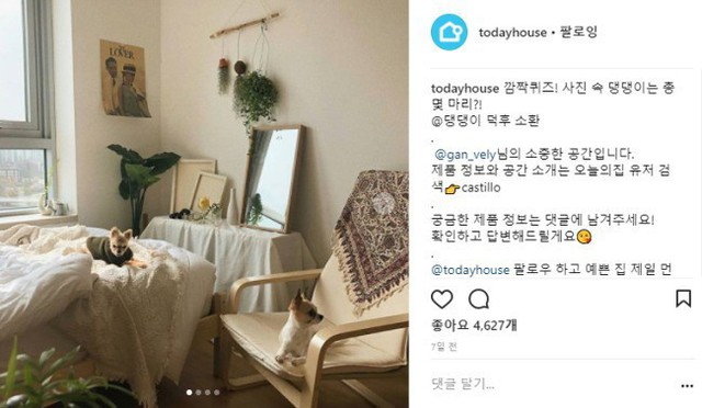 Tài khoản Instagram có tên @gan_vely thích trang trí căn phòng nhỏ của mình bằng tông màu trắng be, kết hợp với một vài chậu cây treo trên tường cùng hai chú cún nhỏ nằm trên đệm và ghế đẩu.