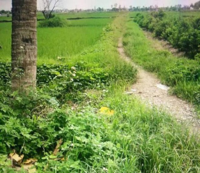 Khu vực nơi b&agrave; Ho&aacute; ph&aacute;t hiện b&eacute; trai sơ sinh. 