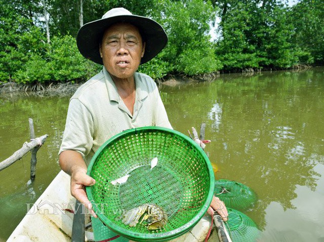 Lồng để nu&ocirc;i t&ocirc;m t&iacute;ch v&oacute; thiết kế kh&aacute; đơn giản, đ&oacute; l&agrave; 2 c&aacute;i rổ &uacute;p lại với nhau để tạo th&agrave;nh 1 chiếc lồng, hoặc những chiếc rổ lớn c&oacute; nắp đậy, sau đ&oacute; đem những chiếc lồng n&agrave;y thả nu&ocirc;i trong vu&ocirc;ng t&ocirc;m. (Ảnh: Ch&uacute;c Ly).