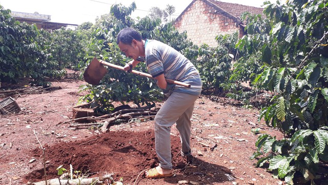 
Mặc dù bị cụt tay, chân và mù một mắt nhưng ông Hồng vẫn làm lụng để nuôi sống cả gia đình. Ảnh: Đức Huy
