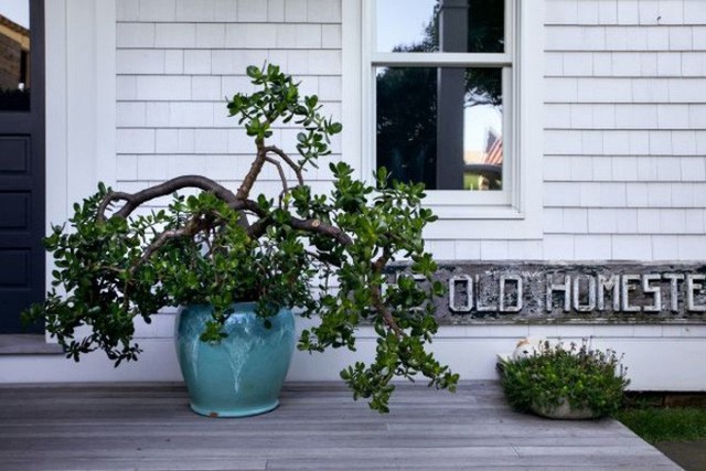 Dọc theo hiên nhà là những chậu cây bằng sứ tráng men tăng thêm nét đẹp dịu dàng cho không gian nhỏ.