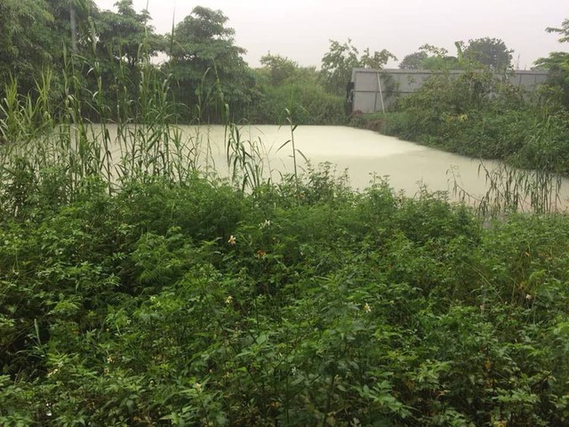 
Hồ chứa nước thải tại Điểm công nghiệp Di Trạch, Hoài Đức, Hà Nội ngày 21/7/2018 phủ một màu trắng xóa. Ảnh: Cơ quan chức năng cung cấp
