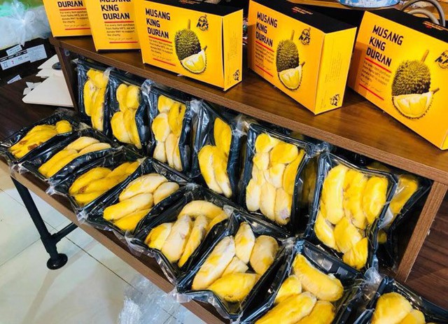 Sầu riêng Musang King có xuất xứ từ Malaysia được bày bán tại cửa hàng trái cây quận 1.