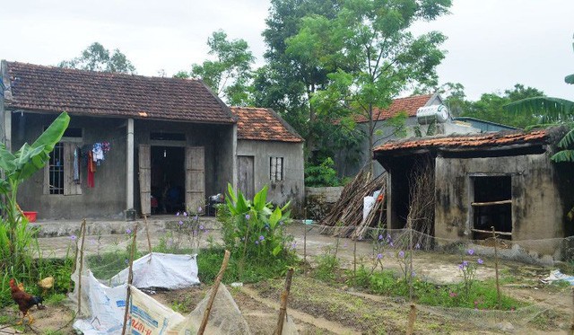 Mẹ con em Nguyệt tá túc trong căn nhà tạm bợ, cũ nát của người cậu ở thôn 12 (xã Quỳnh Tân, huyện Quỳnh Lưu, Nghệ An).