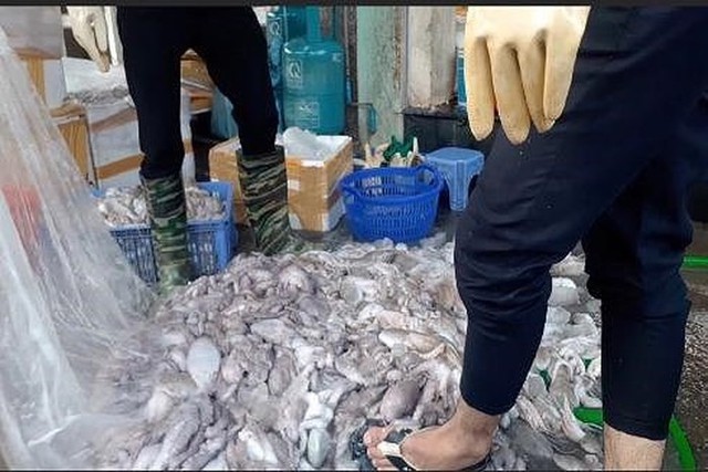 
Bạch tuộc đang được xử lý hoá chất tại chợ Long Biên. Ảnh: ANTĐ
