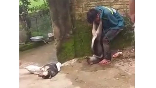 Nam thanh niên trộm chó bị người dân bắt trói, đánh hội đồng và treo cả con chó lên cổ