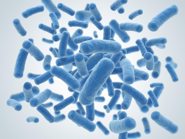 Men vi sinh Probiotics là một bí quyết giúp hệ tiêu hóa trẻ khỏe mạnh