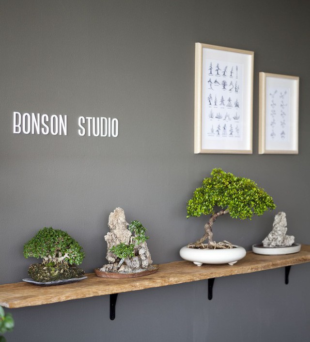 Khu vực riêng cho bonsai ấn tượng.