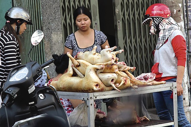 Dư luận đồng tỉnh ủng hộ phương án cấm sử dụng thịt chó, mèo của TP Hà Nội. Ảnh: TL