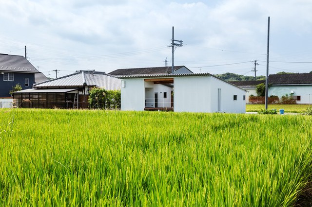 Ngôi nhà rất gần gũi với thiên nhiên. Phía trước nhà là cánh đồng lúa, bên hông nhà là khoảnh nhỏ trồng cây lấy gỗ.