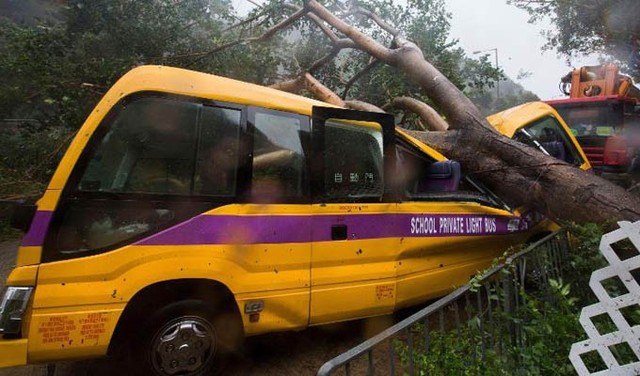 Một chiếc xe buýt trường học bị cây đổ đè bẹp ở Hong Kong.