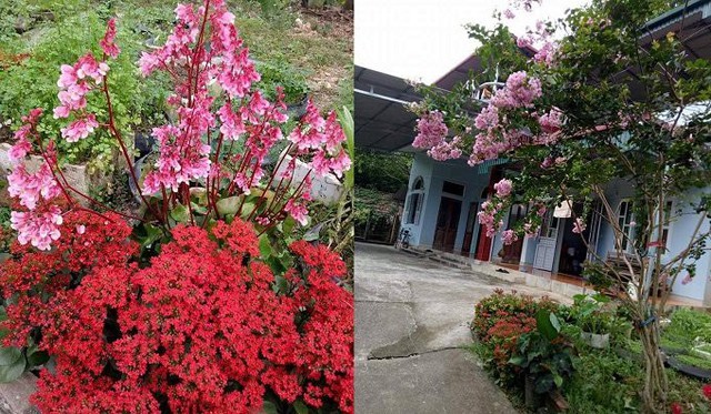 Căn nhà có khoảng sân rộng rãi và khu vườn trồng hoa của cô giáo Nguyễn Thị Phương
