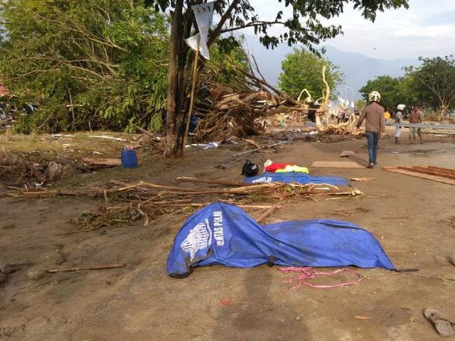 Một người dân ở Palu là Leonita Agustins đang có mặt ở thủ đô Jakarta khi động đất và sóng thần tàn phá quê hương anh. Trận động đất đã phá hủy ngôi nhà tôi sống. Bức trần sụp đổ, trần nhà và vật liệu rơi xuống. Hiện tôi không thể liên lạc với mọi người ở Palu. Tôi hy vọng sẽ có đủ nhân viên y tế giúp đỡ họ, Leonita nói.