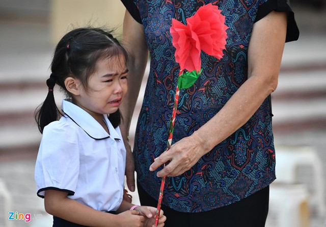 
Bé Khánh Chi ở Hà Nội vào lớp 1, được bà đưa đi khai giảng khóc từ nhà đến trường. Bà cháu cho biết do còn thiếu vài tháng mới đủ 6 tuổi nên bé còn nhút nhát, hay quấy bố mẹ. Ảnh Hoàng Hà (Zing)
