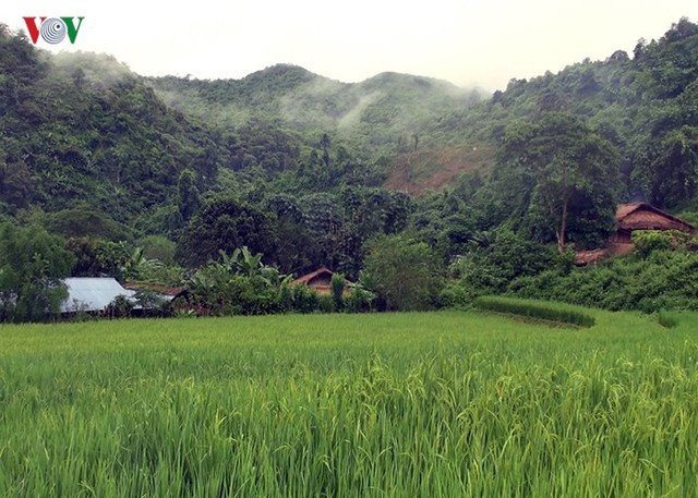 
Bản Huổi Hạ là một trong những bản xa và khó khăn nhất của xã Na Sang, huyện Mường Chà, tỉnh Điện Biên. Cả bản có 75 hộ với khoảng 500 nhân khẩu.
