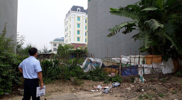 Ông Kiên đau xót nhìn khu đất của gia đình cỏ dại mọc um tùm. Ảnh: Bình Minh