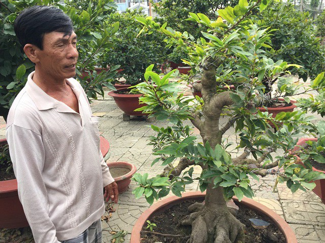 &Ocirc;ng Ph&agrave;n Xu&acirc;n Th&ocirc;ng b&ecirc;n chậu mai gh&eacute;p