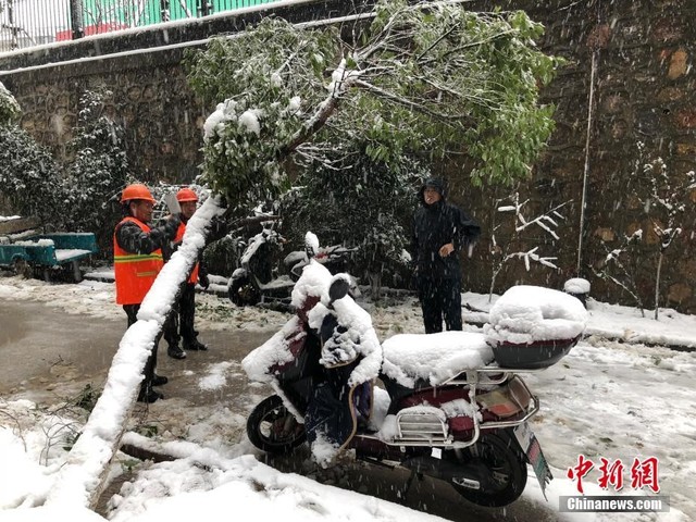 Việc đi lại của người dân gặp nhiều khó khăn vì đường sá lầy lội, cây cối ngã đổ trong khi một số tuyến đường sắt cao tốc phải tạm ngưng hoạt động. Ảnh: China News.
