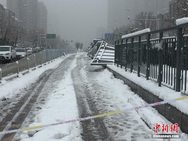 Tuyết dày tại Hợp Phì, thủ phủ tỉnh An Huy, khiến cây cối cũng như mái che của một vài trạm chờ xe buýt ngã đổ. Vụ việc làm một người thiệt mạng và khoảng 20 người bị thương. Ảnh: China News.