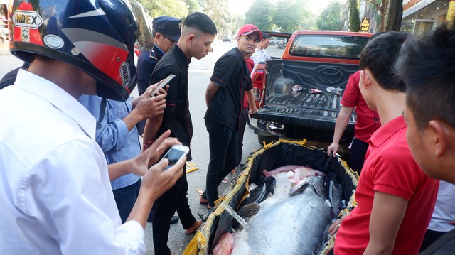 
Con cá tra nặng 210kg, dài hơn 2m
