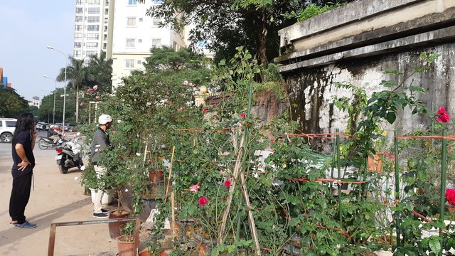 
Tại Trung Kính, khá nhiều nhà vườn mượn đất để trưng bày hoa bán, họ chủ yếu trồng hoa ở ngoại thành như Long Biên, Đông Anh, Tây Mỗ...
