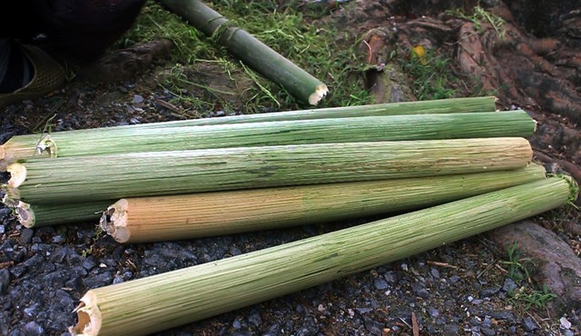 
Giang v&agrave; nứa l&agrave; nguy&ecirc;n liệu ch&iacute;nh d&ugrave;ng trong chẻ lạt được thu mua từ v&ugrave;ng Tuy&ecirc;n Quang, Y&ecirc;n B&aacute;i
