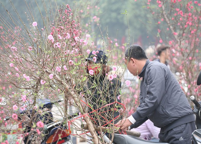 Tại khu vực vườn hoa đường Lạc Long Quân, hàng trăm người mua bán nhộn nhịp khiến không khí Tết đang đến rất gần.