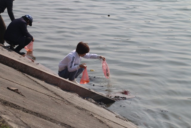 Vì vậy, ghi nhận của PV Báo Gia đình & Xã hội cho thấy, trong ngày 28/1, nhiều người dân đã cùng mang cá chép ra thả, tại khu vực hồ Linh Đàm (thuộc Hoàng Mai – Hà Nội). 