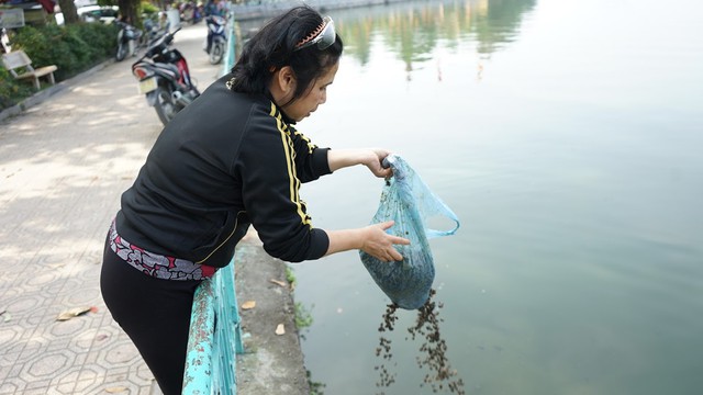 Ngoài cá chép, nhiều người dân còn thả ốc để phóng sinh.