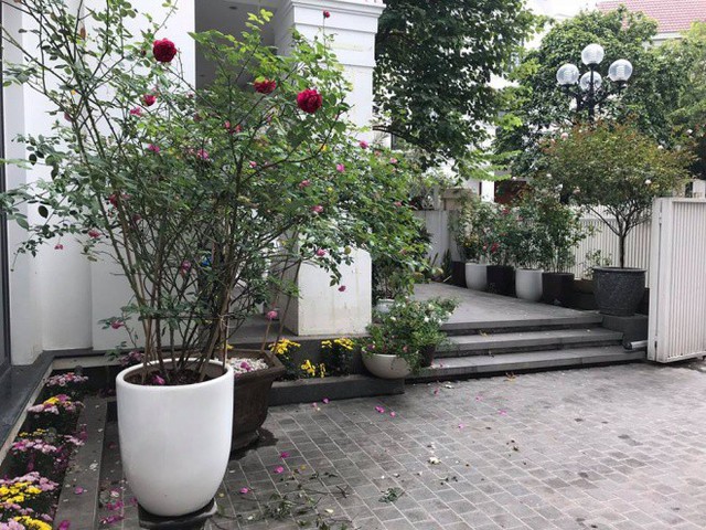 
Ngoài phần tòa nhà chính là cả một khoảng sân rộng rãi, thoáng đãng. Mỹ Dung trang trí cho khoảng sân vườn của gia đình bằng những chậu hoa rực rỡ sắc màu.
