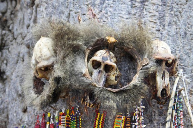 Hộp sọ và hạt trang trí được sử dụng bởi các thầy đồng ở Tanzania