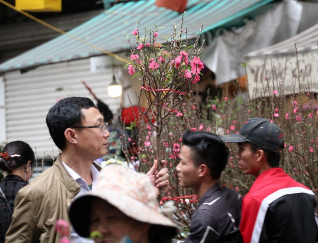 Hầu hết ai đi chợ Hàng Lược cũng đều mua cho mình một vài món hàng, người cành đào người cây quất hay các loại cây cảnh khác.