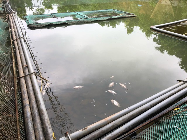 Cận cảnh nhiều mảng bám giống dầu nhớt quyện trong dòng nước dẫn vào nhà máy nước sông Đà - Ảnh 12.