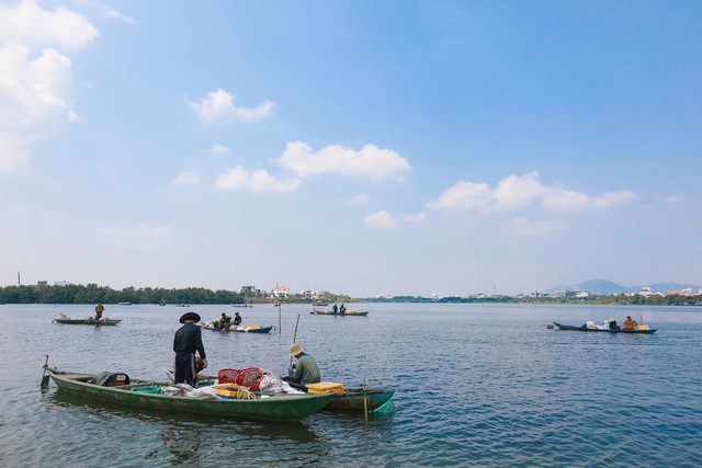 Bắt vẹm đen kiếm tiền triệu mỗi ng&agrave;y ở ng&atilde; ba s&ocirc;ng - Ảnh 1.
