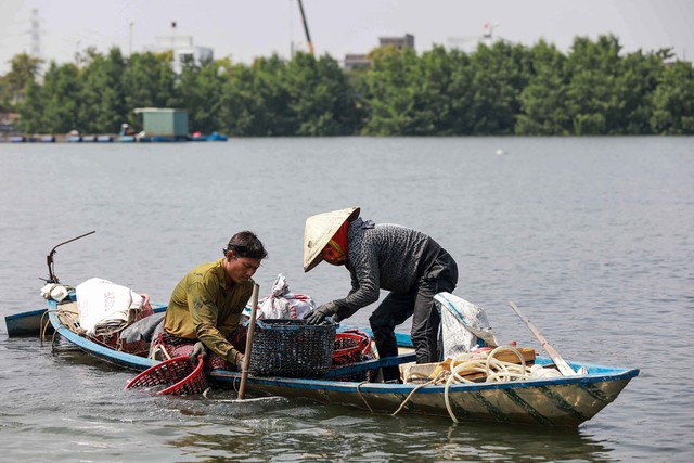 Bắt vẹm đen kiếm tiền triệu mỗi ng&agrave;y ở ng&atilde; ba s&ocirc;ng - Ảnh 5.